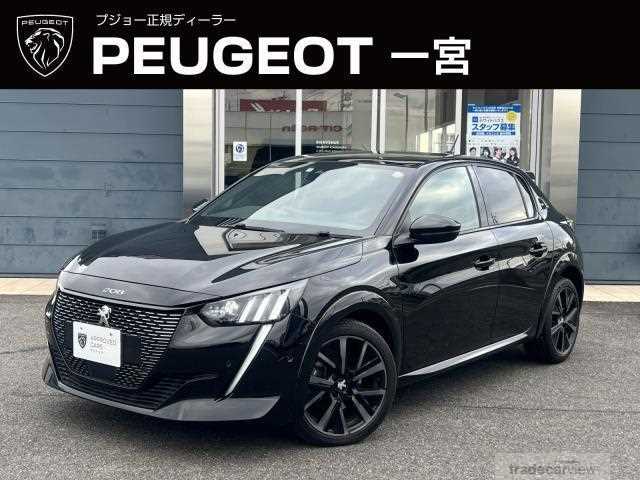 2021 Peugeot Peugoet Others