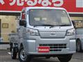 2021 Daihatsu Hijet Truck