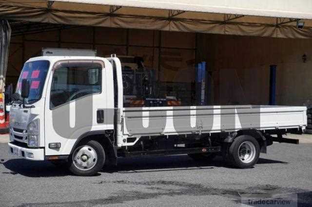 2017 Isuzu Elf Truck