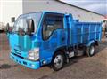 2018 Isuzu Elf Truck