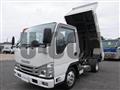 2022 Isuzu Elf Truck