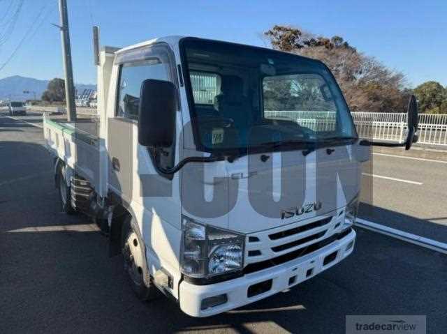 2016 Isuzu Elf Truck