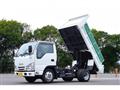 2021 Isuzu Elf Truck