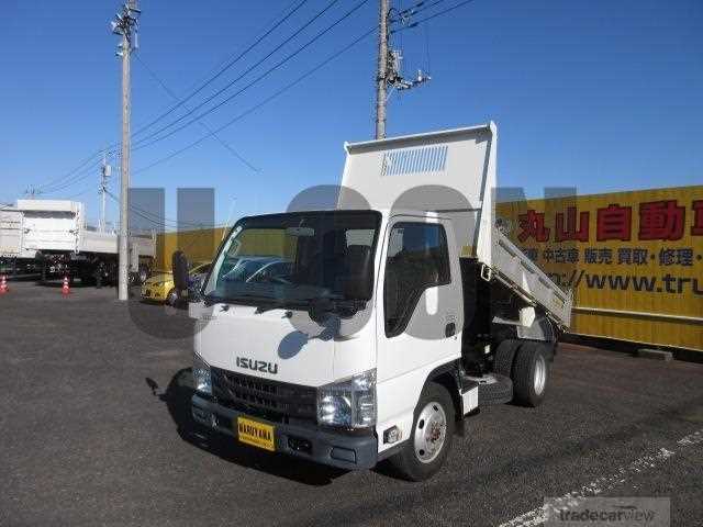 2019 Isuzu Elf Truck