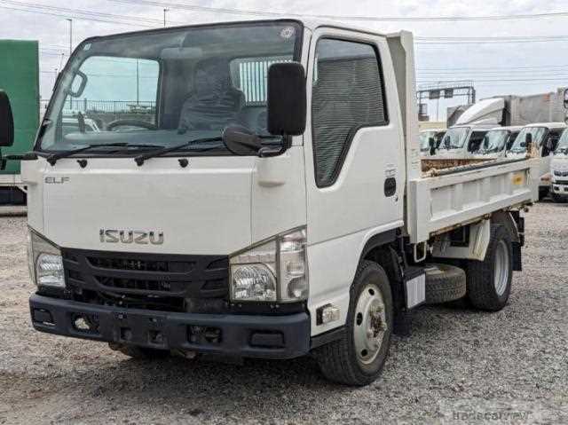 2019 Isuzu Elf Truck