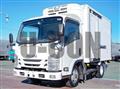 2017 Isuzu Elf Truck