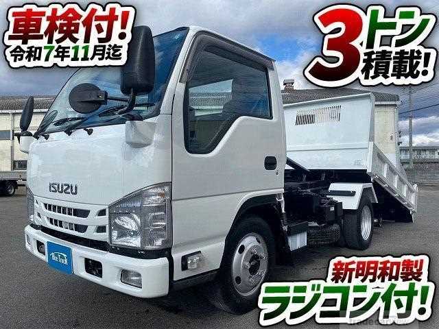 2019 Isuzu Elf Truck