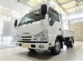 2020 Isuzu Elf Truck