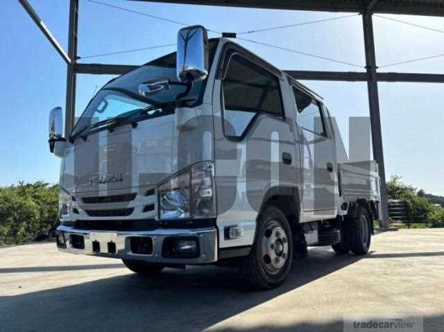 2020 Isuzu Elf Truck