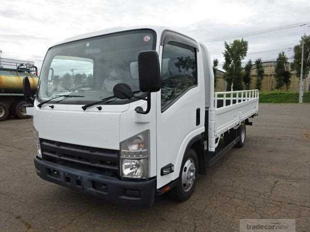 2010 Isuzu Elf Truck