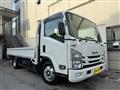 2021 Isuzu Elf Truck