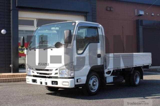 2019 Isuzu Elf Truck