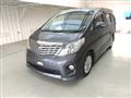 2010 Toyota Alphard