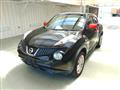 2011 Nissan Juke