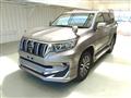 2019 Toyota Land Cruiser Prado