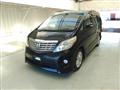 2010 Toyota Alphard