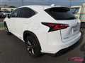 2015 Lexus NX