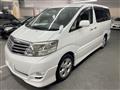 2007 Toyota Alphard G