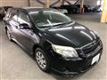 2010 Toyota Corolla Fielder