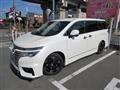 2014 Nissan Elgrand