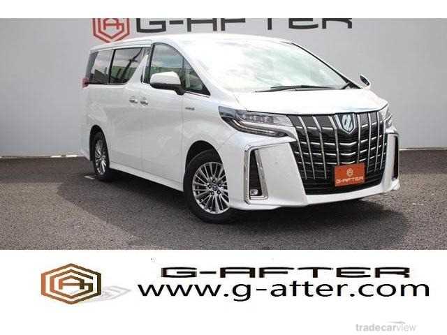 2019 Toyota Alphard G