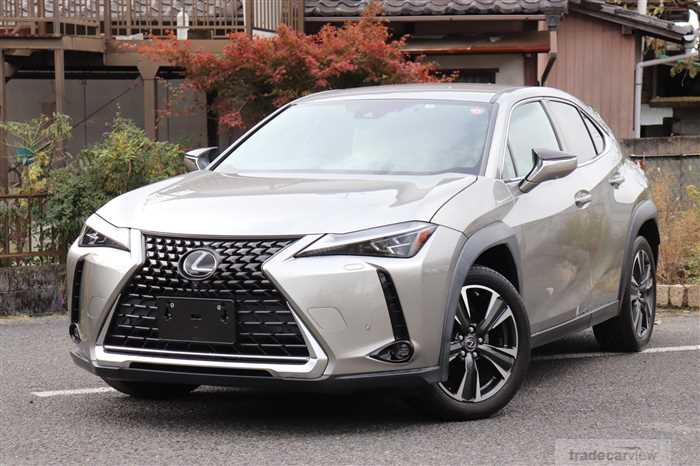 2019 Lexus Other