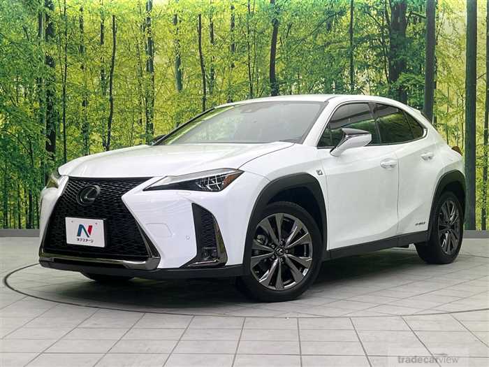 2019 Lexus Other