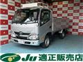 2019 Toyota Dyna Truck