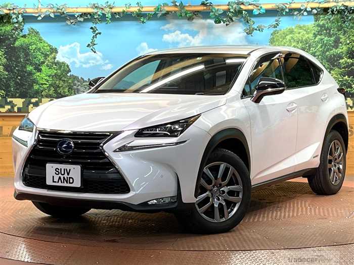 2015 Lexus NX