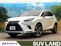 2020 Lexus NX