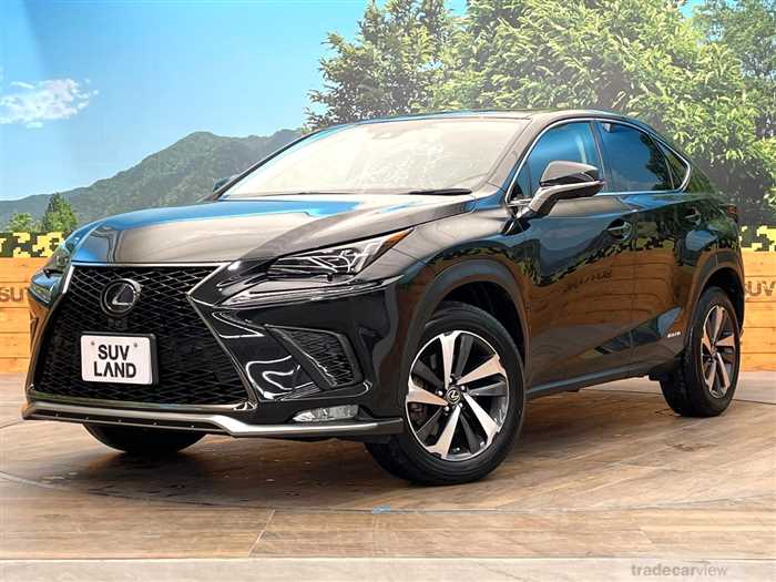 2019 Lexus NX