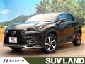 2019 Lexus NX