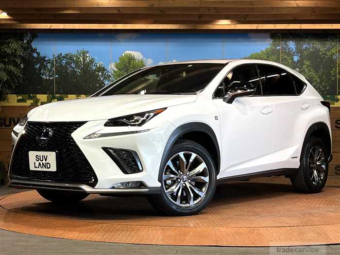 2020 Lexus NX