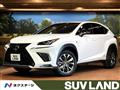 2020 Lexus NX