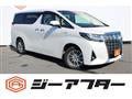 2019 Toyota Alphard G