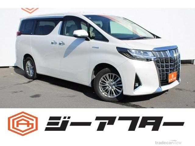 2019 Toyota Alphard G