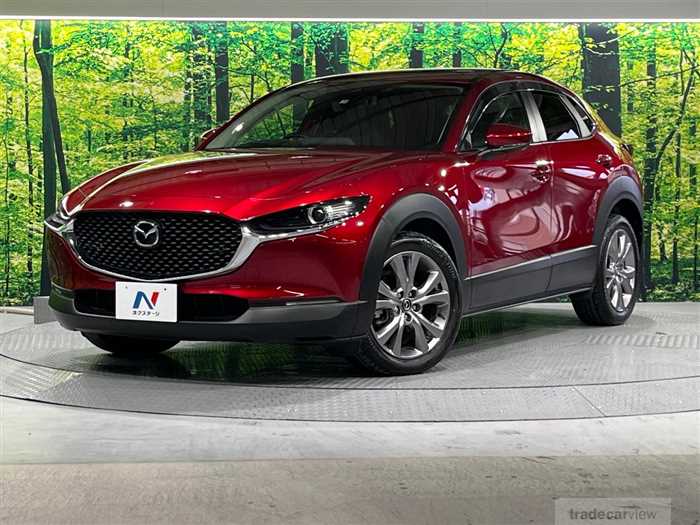 2019 Mazda Mazda Others