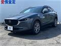 2019 Mazda Mazda Others