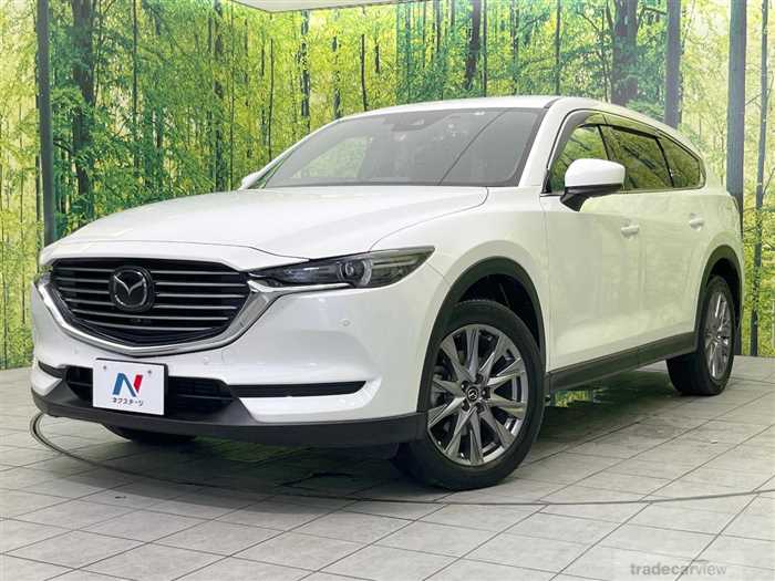 2019 Mazda CX-8