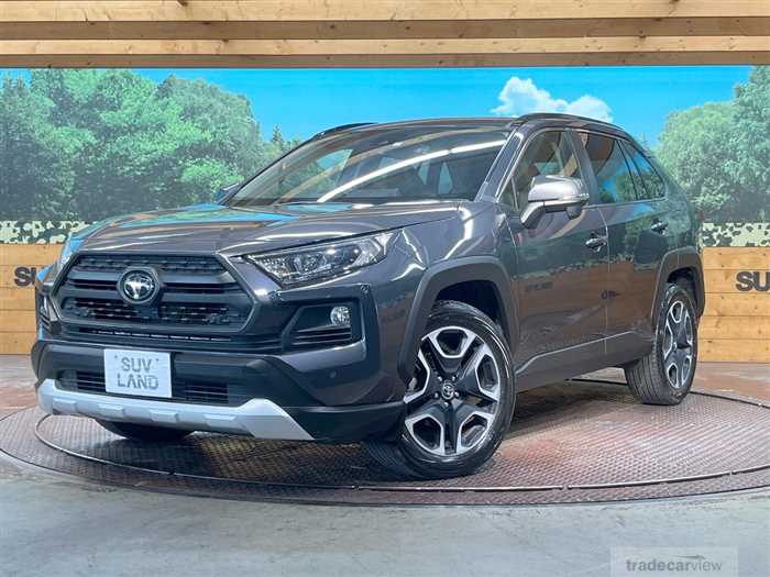 2019 Toyota RAV4