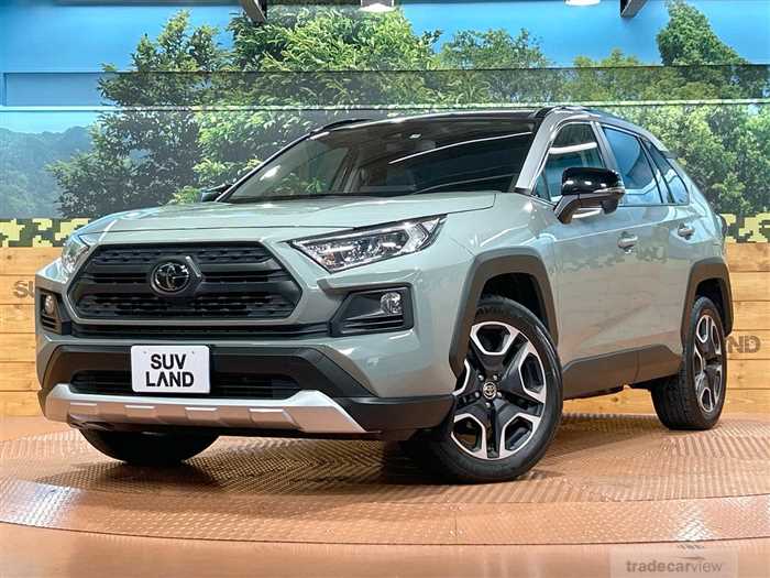 2019 Toyota RAV4