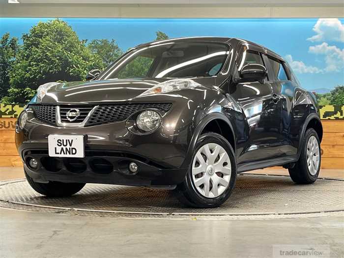 2010 Nissan Juke