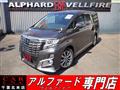 2015 Toyota Alphard G