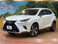 2019 Lexus NX