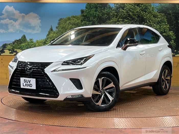 2019 Lexus NX