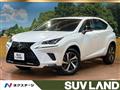 2019 Lexus NX