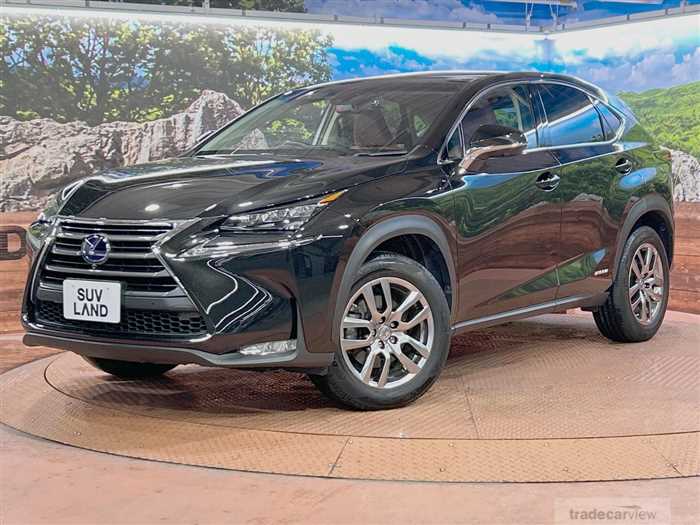 2014 Lexus NX