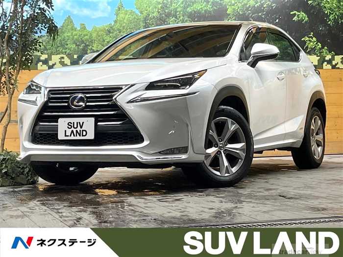 2015 Lexus NX