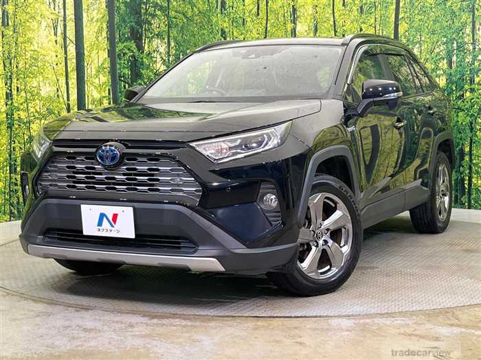 2019 Toyota RAV4