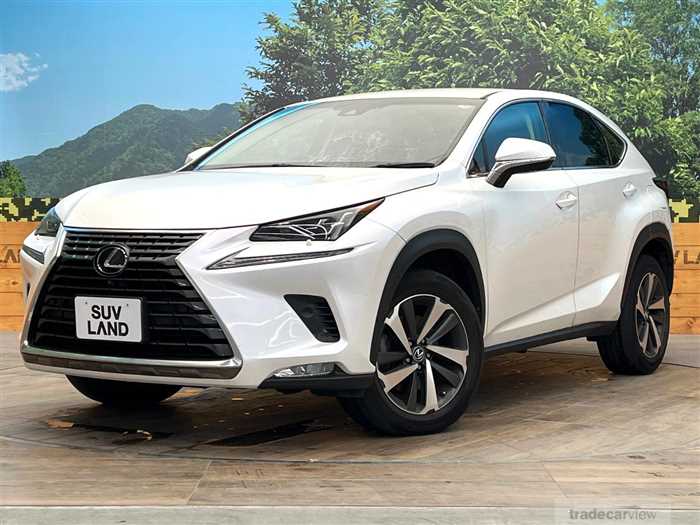 2018 Lexus NX